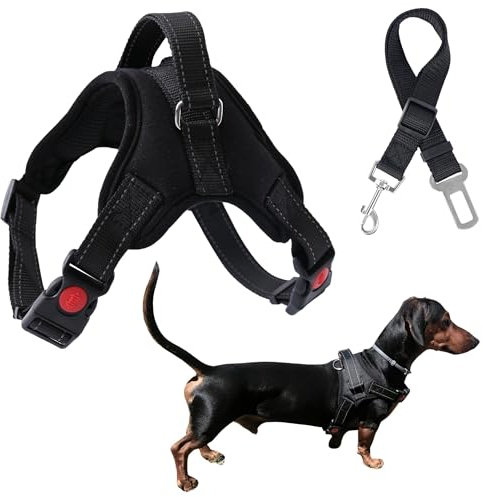 Arnes Perro Pequeño Antitirones sin Presión con Cinturón de Seguridad para Coche. Pechera Ajustable Sin Tirones con Asa Antiescape para Perros Pequeños. Incluye Anclaje Tipo D para Correa de Paseo.