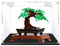 Acrylic Display Case for Icons Bonsai Tree 10281,Dust-proof Display Box for Lego 10281(NOT Included The Model)(3MM)