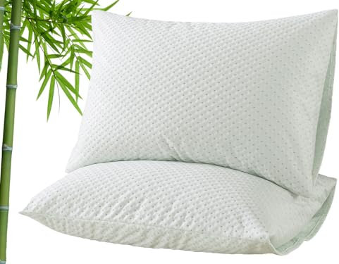 RICHAIR - Protege Oreiller 65x65cm Lot de 2 Impermeable -Fermeture enveloppe - Respirant Housse Oreiller Anti-allergénique et 100% Bambou, Protege Oreiller Anti Acarien