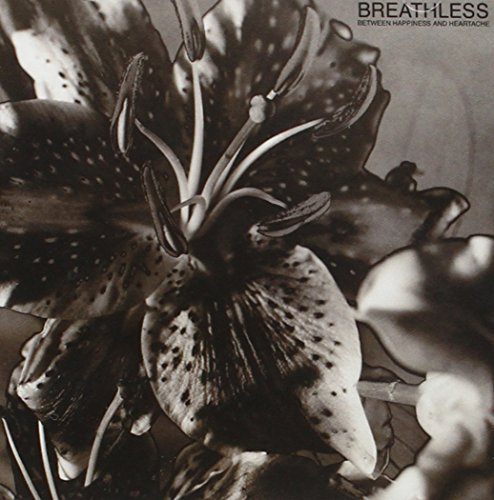 Between Happiness & Heartache