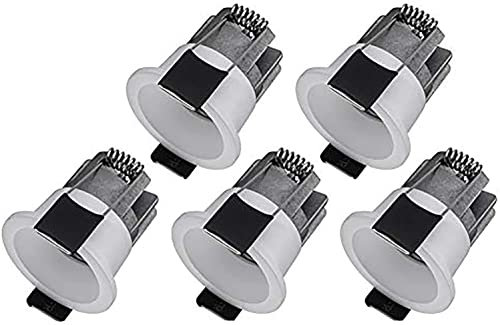 Klein LED Einbaustrahler 3W 230V Hohe Qualität Deckeneinbaustrahler Rund Mini LED Spot COB Downlights Deckenspots 3000K 100lm für Weinschrank/Küche/Wohnzimmer/Gang