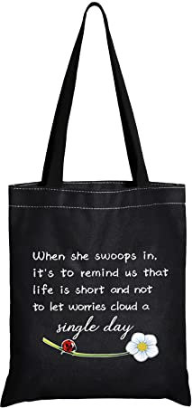 JXGZSO Good Luck Marienkäfer-Make-up-Tasche mit Reißverschluss, Geschenke für Frauen, wenn sie hineinschlüpft, eine einzelne Tages-Kosmetiktasche, Einkaufstasche Ladybug schwarz
