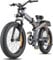 ENGWE X24 Electric Bike Folding E-Bike with 24 x 4.0 Fat Tire Dual Removable Battery 48V19.2AH Lange 100 km, 3 Triple Suspension 8 Speed All Terrain Ebike