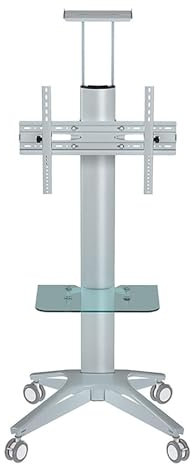 JYBNBBE Support TV Mobile à roulettes - Support TV Portable au Sol, pour téléviseurs LCD/LED de 32 à 70 Pouces, avec Plateau, Chariot TV Roulant pour écran Domestique à Hauteur r,Silver