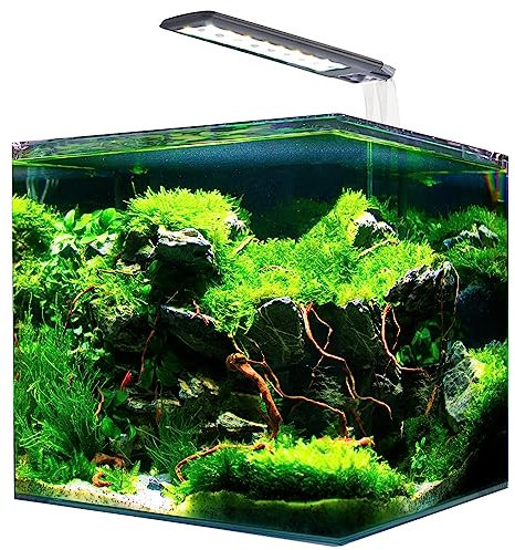 Amtra NANOTANK System 15 – Acuario de cristal completo con luz LED, filtro y alfombrilla / 30 x 20 x 25 cm / 15 litros