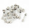Fusible - Four a Micro-Ondes 5KV - Verre fusible de Tubes de 6mm x 40mm (Lot de 5 Pièces, 1A)