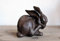 Gwenys Haus Gartenfigur Dekofigur Hase