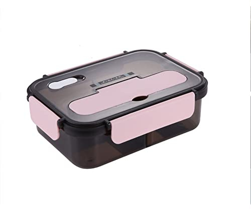 DanLink 1100ml Fiambrera Hermética para Comida Caja de Almuerzo Caja de Bento con 2 Compartimentos y Cubierto a Prueba de Fuga para Almuerzo Desayuno Cena de niños y Adultos