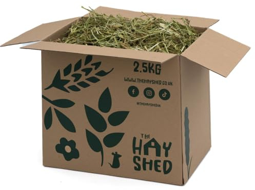 The Hay Shed Green Wheat Hay for Small Pets – Long Stem Feeding Grass Barn Dried, Dust Free, High Fibre, Natural Green Stem Feeding Hay for Digestion, Teeth - Rabbits, Guinea Pigs, Chinchillas - 20kg