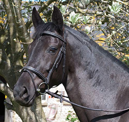 Rhinegold ‘Elegance’ German Leather Bridle With Flash Noseband