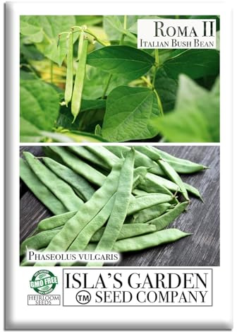 Roma II Italian Bush Bean Seeds (Phaseolus vulgaris) – 30+ Heirloom Non GMO Seeds by Isla’s Garden Seeds – Delicious Flat Green Pods for Home Vegetable Gardens, Easy to Grow Bush Beans, Gift Idea