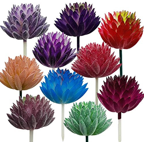 Cayway Suculentas Artificiales 10 Pz Plástico Plantas Decorativas Suculentas Faux Suculentas para Decoraciones Paisaje Casa Bricolaje