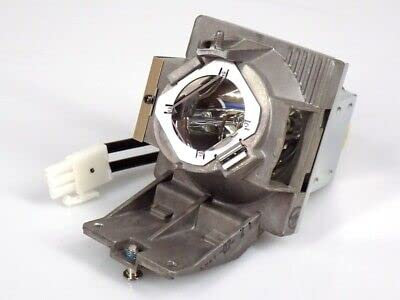 Original ViewSonic RLC-119 Ersatzteil: Lamp Lampe für PG701WU PX701HD PX701HDH