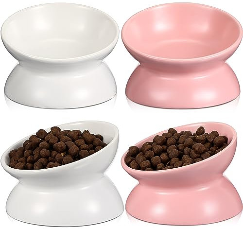 Didaey Paquete de 4 cuencos elevados de cerámica para gatos, platos elevados inclinados contra vómitos, cuencos de cerámica para comida y agua (blanco, rosa)