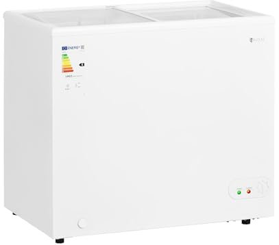 Royal Catering RCFGDF-200 Congélateur 200 l avec portes en verre verrouillables Grand format