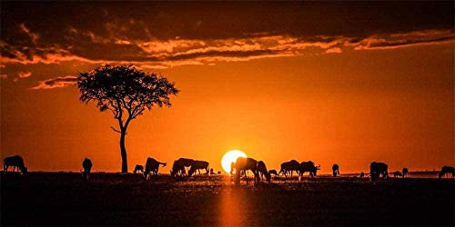 IGHSNZUH Holzprozzel Puzzle Für Erwachsene 1000 Stücke, Afrika Kenia Safari, Sonnenuntergang Silhouette Puzzle Games Home Decor Geschenke