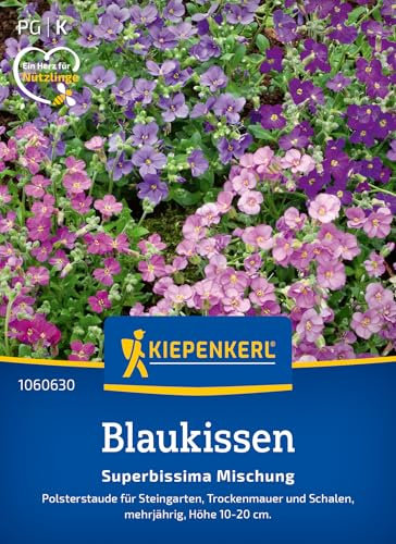 Kiepenkerl Blaukissensamen Superbissima Mischung 1060630 - Polsterstaude für Steingarten, trockenmauer und Schalen - Pflanzensamen, Blumenmischung, Saatgut