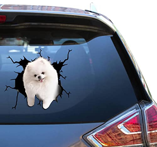Pomeranian Gifts Frauen Pomeranian Auto-Aufkleber, Abziehbilder, Vynal Trucking Atickers für Vynil SUV Aufkleber