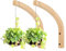 Liummrcy Colgador de Plantas, Ganchos de Cesta Colgando, Colgante Colgante de Plantas Colgador de Madera Ganchos Colgantes Soporte de Flores para Colgantes linternas 2 Piezas
