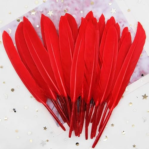 GreatRise 10-15cm Bunte Federn Natürliche Gänsefedern Federn zum Basteln Indianer Federn Dekoration Feder für DIY Handwerk Kostüme Hut Traumfänger Hochzeit Party Dekorationen Rot 100 Stück