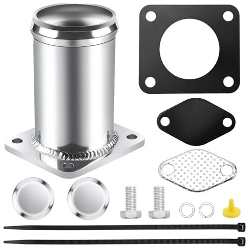 KAOLALI Kit de desmontaje de la válvula EGR para B-M-W E46 E39 X5 E53 X3 E83 E38 E65, Manguera de repuesto para la válvula EGR E46 318D 320D 330D 330Xd 320Cd 318Td 320Td