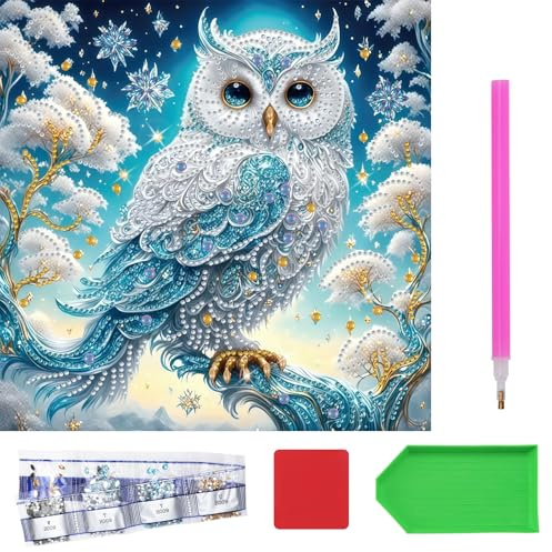 XRVRILE 5D Diamond Painting Eule 25x25cm, Diamond Painting Erwachsene Tiere, Funkelndes Diamond-Painting Set mit Werkzeug, Kleines Diamont Painting DIY Wanddeko für Anfänger und Entspannung