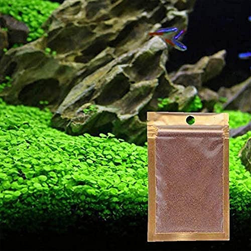 Grass Seeds Fast Growing,10g About 7000Pcs Organic Aquatic Plants Grass Seeds for Fish Tank Aquarium(Big Double Leaves)