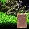 Grass Seeds Fast Growing,10g About 7000Pcs Organic Aquatic Plants Grass Seeds for Fish Tank Aquarium(Big Double Leaves)