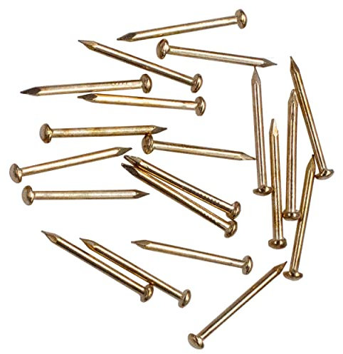OMOTOOL Iron Brass Plated Nails(300 pcs),Round Head Nails (20MM)