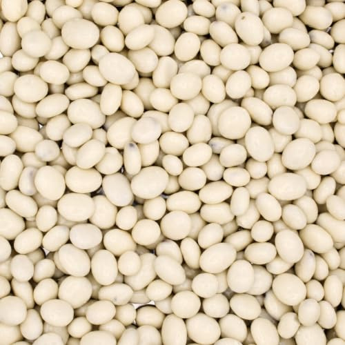 Yogurt Raisins 3kg Bulk Bag