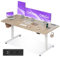 OffiGo Höhenverstellbarer Schreibtisch, 160cm Schreibtisch Höhenverstellbar Elektrisch mit USB, Standing Desk mit 2 Memory Funktion, Elektrischer Tisch für Büro, Zuhause, Beige