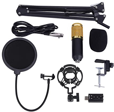 AYNEFY Microphone de Condenseur BM800 Studio, Micro d'enregistrement Professionnel avec Adaptateur USB, pour Les Podcasts, Voix Off et Streaming