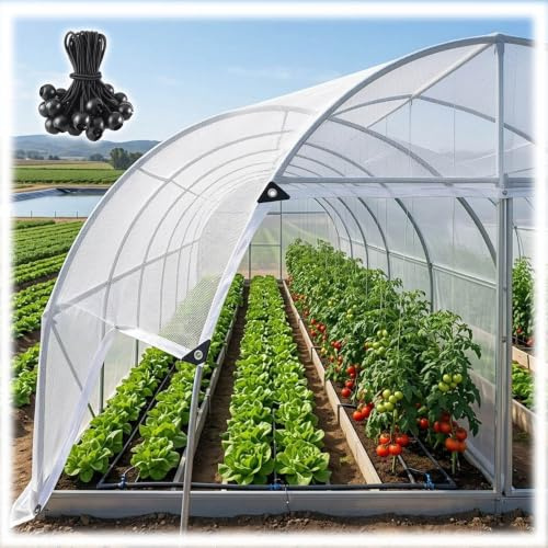 Filet D'ombrage Extérieur, 50% UV Voile Ombrage avec Oeillets, pour Jardin | HDPE Filet Protection Solaire, Blanc Tissu D'Ombrage, Respirant Tissu Toile Ombrage, Bâche de Balcon Brise-Vue(6x8m)