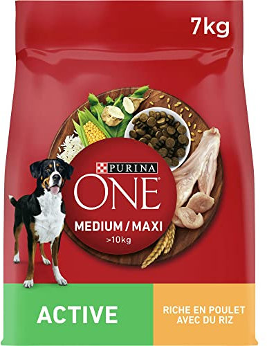 PURINA ONE Medium/Maxi > 10 kg Active | Trockenfutter reich an Huhn für Erwachsene Hunde | 7 kg Beutel
