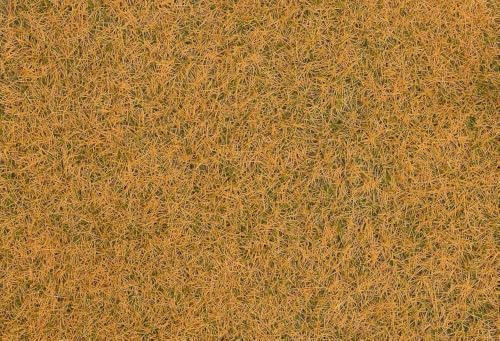 Streufasern Wildgras, verdorrt, 4 mm, 1 kg