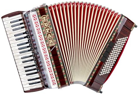 Zupan Alpe IV 96 EF/M Cassotto Akkordeon Palisander