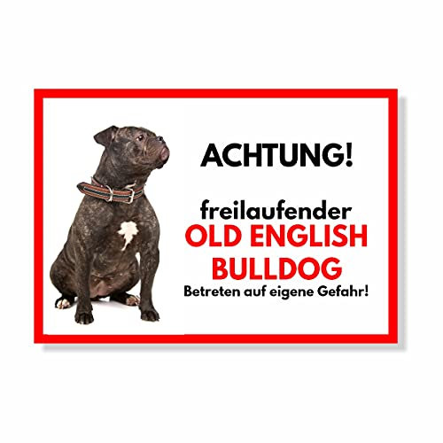 Old English Bulldog 2 Freilaufender Hund Dog Schild Spruch Türschild Hundeschild Warnschild Geschenkidee Sicherheitsschild Hund Privatgrundstück Hundewarnung Warnung vor dem Hund