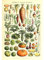 Meishe Art Poster Kunstdrucke Jahrgang Plakate Drucken Plakatdruck Gemüse Sammlung Identifizierung Bezug Illustrationen Karotte Kürbis Kartoffel Zu Hause Mauer Kunst Wand Dekor (20.87'' x 31.50'')