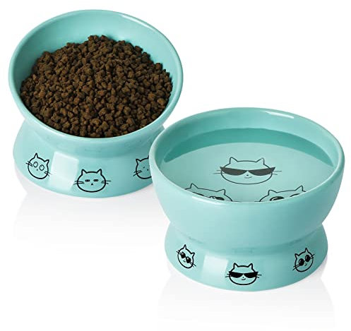 Sweejar Home Raised Cat Bowls Set, Tilted Food Bowl and Deep Water Bowl, Stress Free Elevated Cat Food Bowls, Protect Cat's Spine, Ceramic Pet Bowl Collection for Cats and Dogs, Set of 2 (Turquoise)