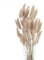 ROOBZE pampasgras Kaninchenschwanz Gras schmücken 50 Stücke natürlich Getrocknete Blumensträuße，Deko Trockenblumen Trockenblumenstrauß für Schlafzimmer Indoor Hochzeit Home Decoration (Grauer Kaffee)