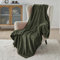 BEDSURE Kuscheldecke Flauschig Decke Fleecedecke - Wohndecke Warm Winter Weich, Sofadecke Kleine, Decke Couch Blanket, Wohn- & Kuscheldecken Kinder 130x150cm, Sofa überwurfdecke Olivgrün