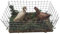 BLUSUPERSHOP 2 Kunststofftiere auf dem Foto im Gehege 10 x 5 cm hoch 5 cm Art7 Hoftiere für Hirten 7 10 cm Krippe auch Schweine Hühner Hahn Gänse Ziegen Schafe etc