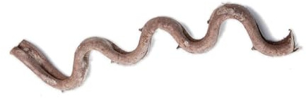 LAIOUSN Natürliche Reptilien, Eckaste, Kletterranke, Rattanrebe für Terrarien, dekorative Pflanze, Rattanstock für Eidechsen, Schlangen, Reptilien, Terrarien, Dekorationen