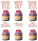 24 Stück 30th Geburtstag Tortendeko Straight Outta 1995 Cupcake Toppers Thirty Awesome Since 1995 Kuchen Deko für 30. Geburtstag Jahrestag Party Kuchen Dekorationen Rosegold
