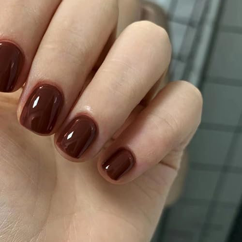 DMQ Square False Nails Short, 24Pcs Red Brown Fake Nails, Autumn Winter Press on Nails, Glossy Full Cover Stick on Nail with Glue, French Nail Tips for Women Girls Nail Art - Red Brown
