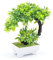 DEANKEJI Bonsai Artificiel, Arbre Artificielle Interieur, Fausse Plante Interieur, Plastique Plante Artificielle, Pot Plante pour Balcon, Jardin, Salon, Table Manger, Décoration Bureau (Vert)