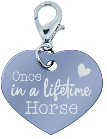 Soulhorse Marke Pferd Pony Glücksmarke Pferdemarke Gücksbringer Schutzengel Sattel Herz Trense Zaumzeug Schlüsselanhänger Talisman für Tiere und Menschen (Hellblau, Once in a Lifetime Horse)