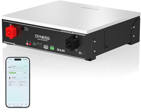 Dyness 5,12kWh LiFePO4 Batterie 48V(51.2V) 100Ah mit 100A BMS WiFi | CAN&RS485, Bis 50 Batterien Parallel 256kWh, 6000 Zyklen, Solarbatterie für Photovoltaik&Heimspeicher