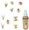 vdvelde.com - Ecoworld Tillandsia Luftpflanzen 10 Stück + Tillandsien Spray für kräftige und intensiver gefärbte Pflanzen - 10 Verschiedene Tillandsien Deko - Pflegeleicht Arten - Aus eigen Gärtnerei