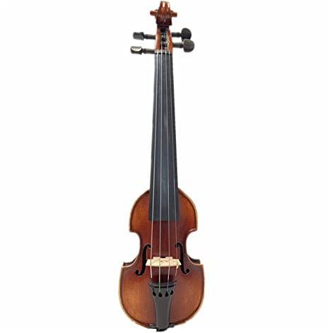 Violon De Rose Violon Exquis De Gravure En Bois Massif Étudiant Adulte Violon Violon